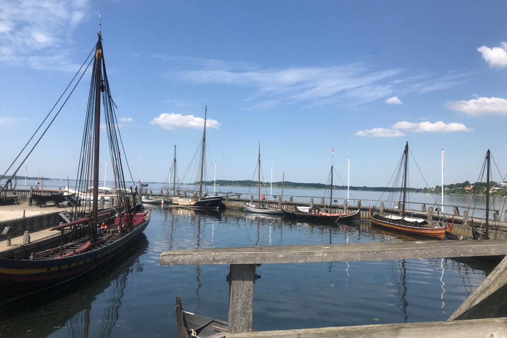 daniel elmann roskilde liberal alliance mit roskilde 2040 klima roskilde fjord